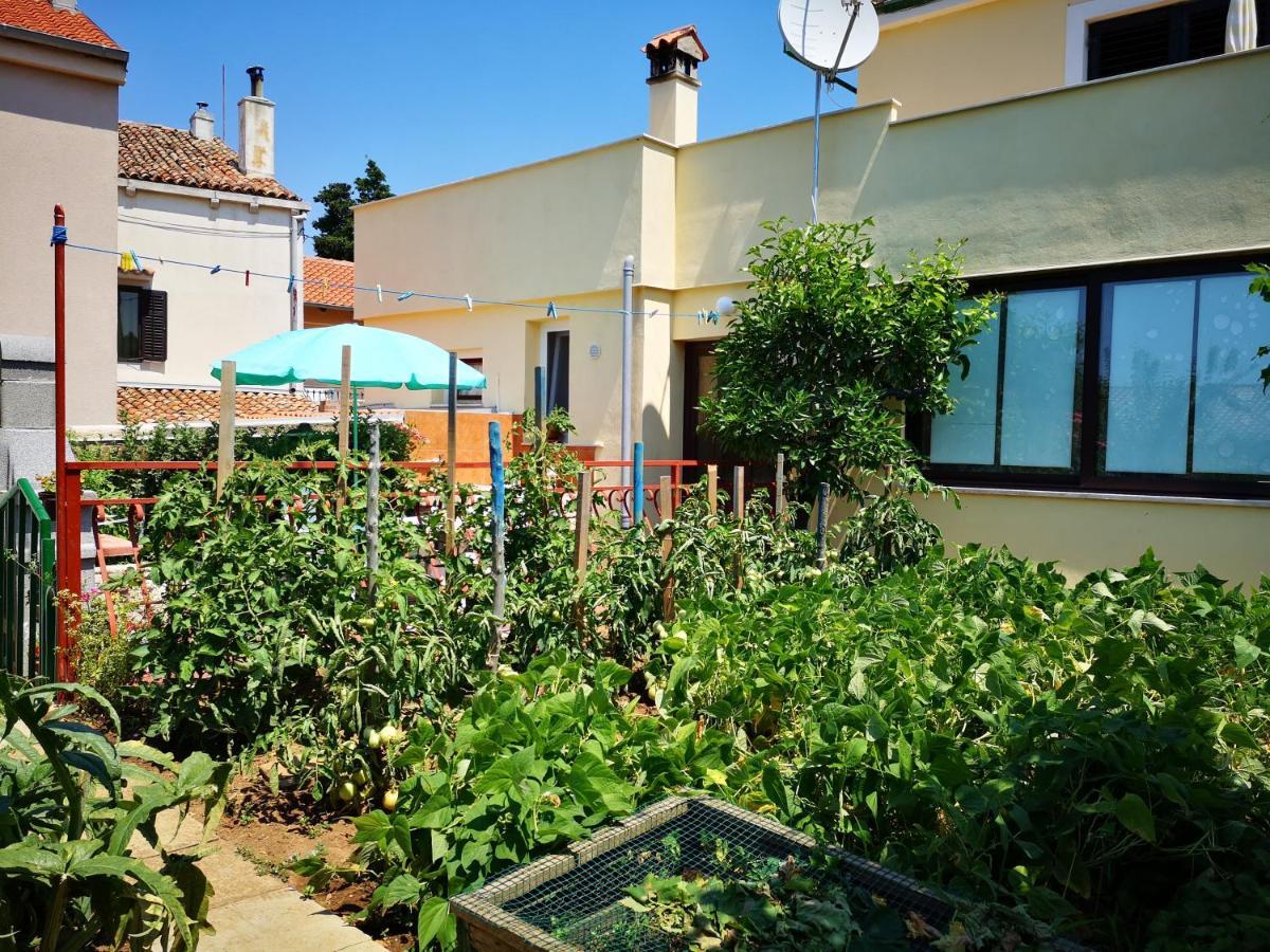 Apartment Zelina Mali Lošinj Eksteriør bilde